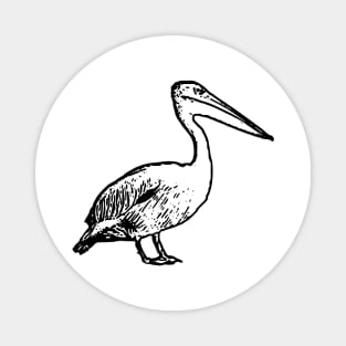 Pelican Magnet